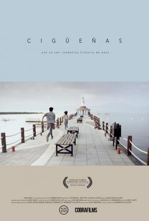 Cigüeñas 