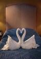 CitizenM: Swan Song (S)