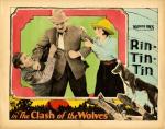 Rin Tin Tin y los lobos 