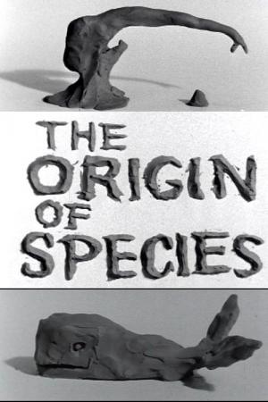 Clay or the Origin of Species (S)