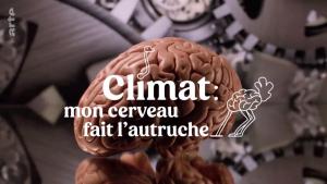 Climat: mon cerveau fait l'autruche 