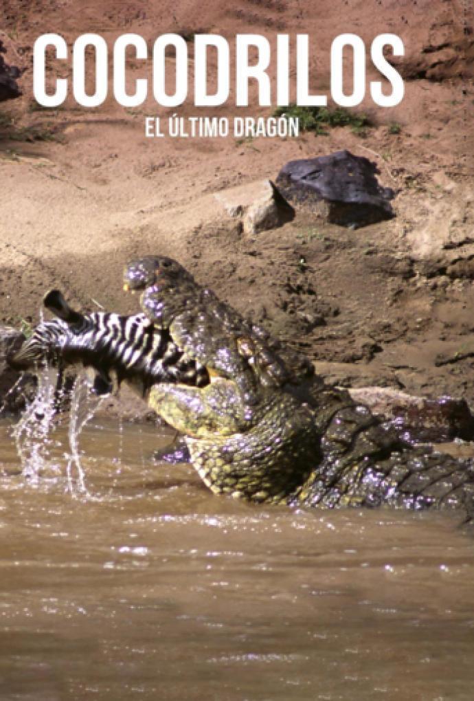 Cocodrilos, el último dragón (TV)