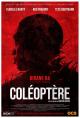 Coléoptère (C)