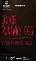 Color Runaway Dog  - Posters