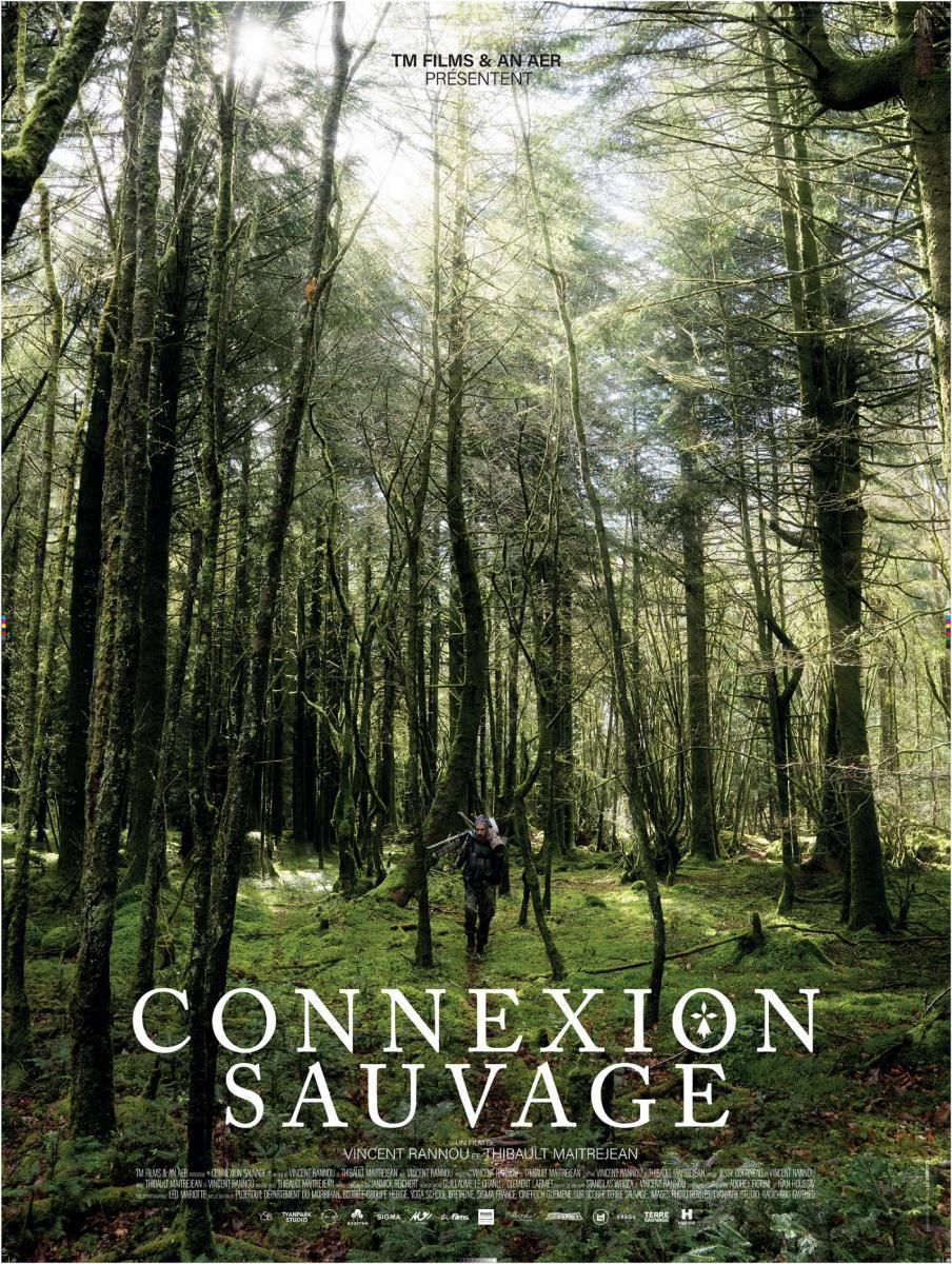 Connexion Sauvage 