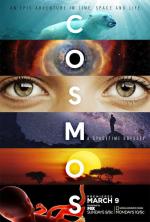 Cosmos: A Space-Time Odyssey (Serie de TV)