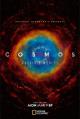 Cosmos: Possible Worlds (TV Series)