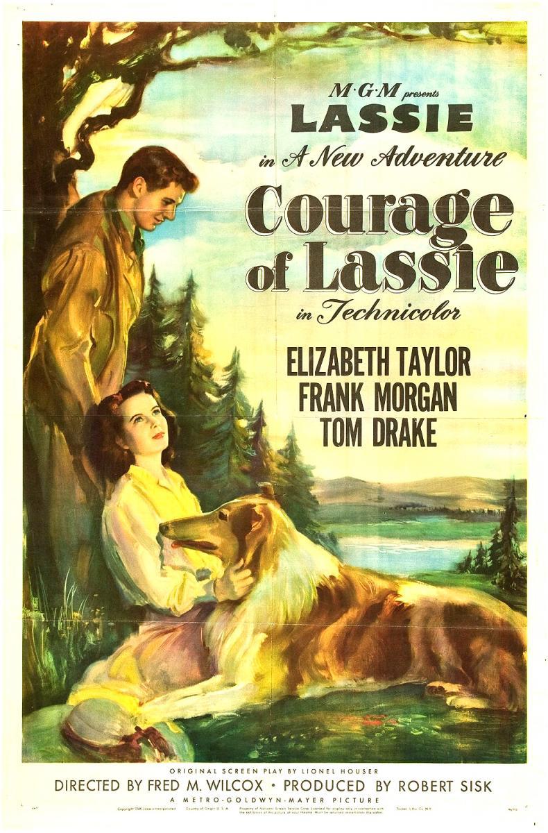 Courage Of Lassie 1946 Filmaffinity 