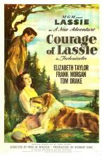 El coraje de Lassie 