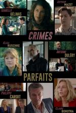 Crímenes perfectos (Serie de TV)
