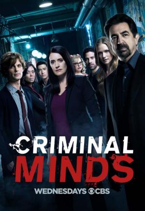 Mentes criminales (Serie de TV)