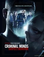 Criminal Minds: Suspect Behavior (TV Series)