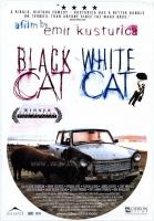 Gato negro, gato blanco  - Posters