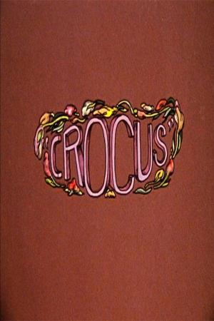 Crocus (C)