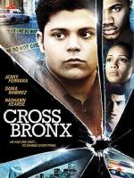 Cross Bronx  - Poster / Imagen Principal