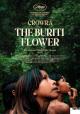 Crowrã - La flor del Burití 