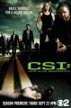 CSI: Crime Scene Investigation - Las Vegas (TV Series)