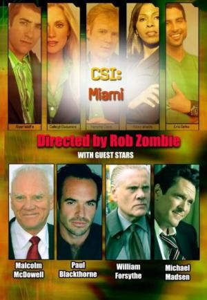 CSI Miami: L.A. (TV)