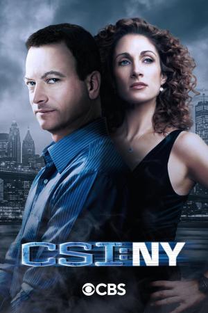 CSI: NY (Serie de TV)