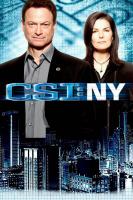 CSI: New York (TV Series) - Posters