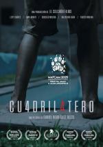 CuadriláteroCuadrilátero