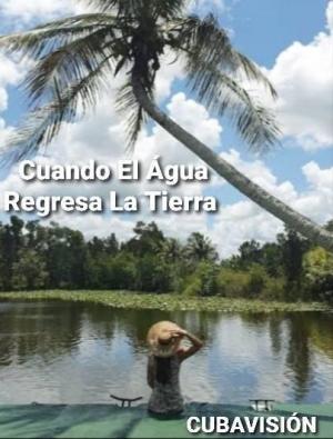 Cuando el agua regresa a la tierra (Serie de TV)