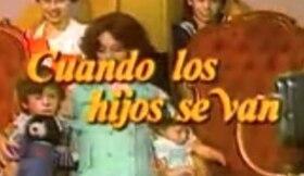 Cuando los hijos se van (Serie de TV)