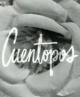 Cuentopos (TV Series)
