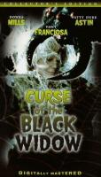 La maldición de la viuda negra (TV) - Poster / Imagen Principal