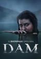 Dam (TV Miniseries)