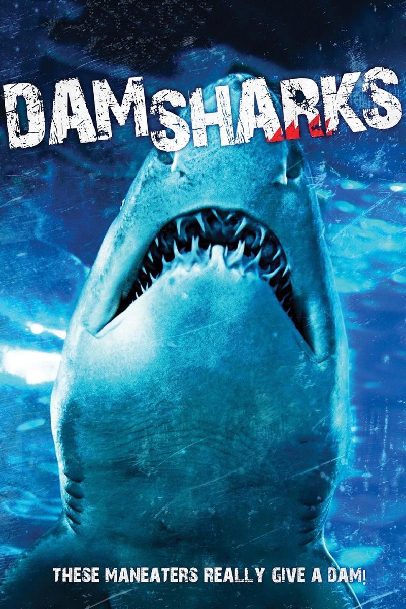 dam_sharks-218965145-large.jpg