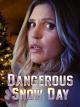 Dangerous Snow Day (TV)