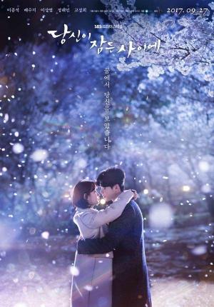While You Were Sleeping (TV Series)