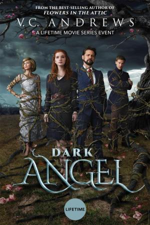 Dark Angel (2019) - Filmaffinity