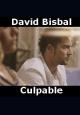 David Bisbal: Culpable (Vídeo musical)