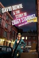David Bowie & the Story of Ziggy Stardust (TV) - Poster / Main Image