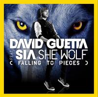 David Guetta Feat. Sia: She Wolf (Falling to Pieces) (Vídeo musical) - Caratula B.S.O