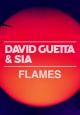 David Guetta & Sia: Flames (Vídeo musical)