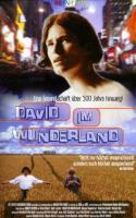 David im Wunderland  - Poster / Main Image