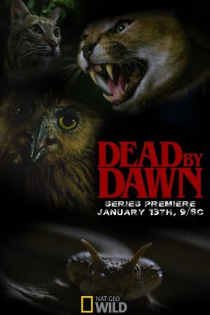 Dead by Dawn (TV Miniseries)