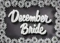 December Bride (Serie de TV) - Poster / Imagen Principal