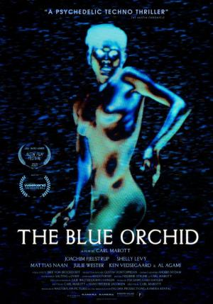 The Blue Orchid 