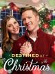 Destined at Christmas (TV)