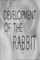 Development of the Rabbit 