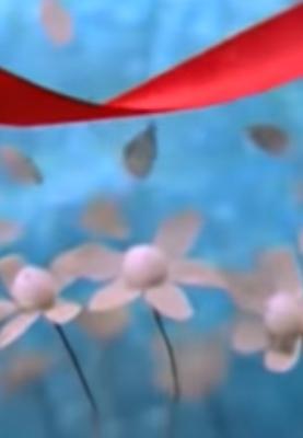 Devendra Banhart: A Ribbon (Music Video)