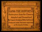 Diana the Huntress 