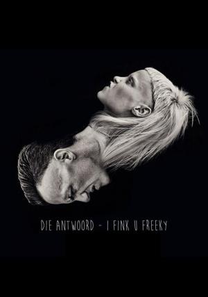 Die Antwoord: I Fink U Freeky (Vídeo musical)