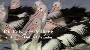 Die Reise der Pelikane: Australiens Outback-Wunder (TV)