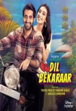 Dil Bekaraar (Serie de TV)