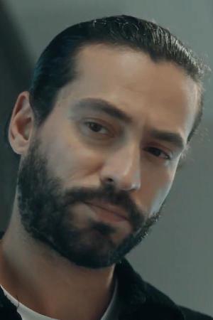 Diren Polatogullari